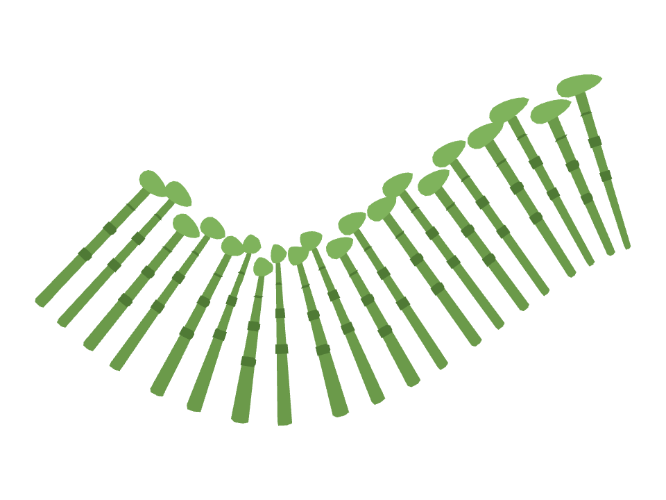 Bamboo Cluster drawn along a curved stroke