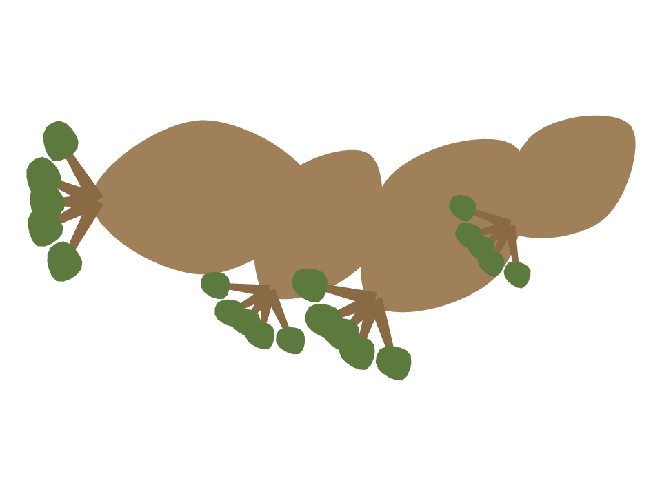 Baobab Tree drawn along a curved stroke