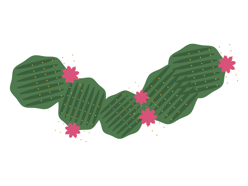 Barrel Cactus drawn along a curved stroke