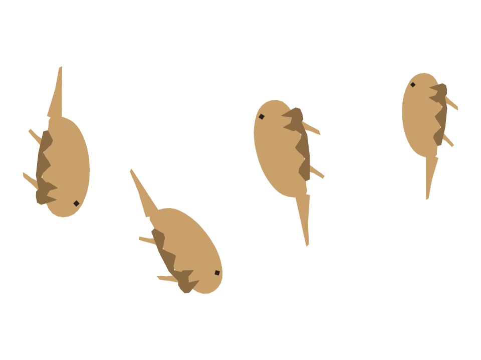Bearded Dragon drawn along one curved stroke