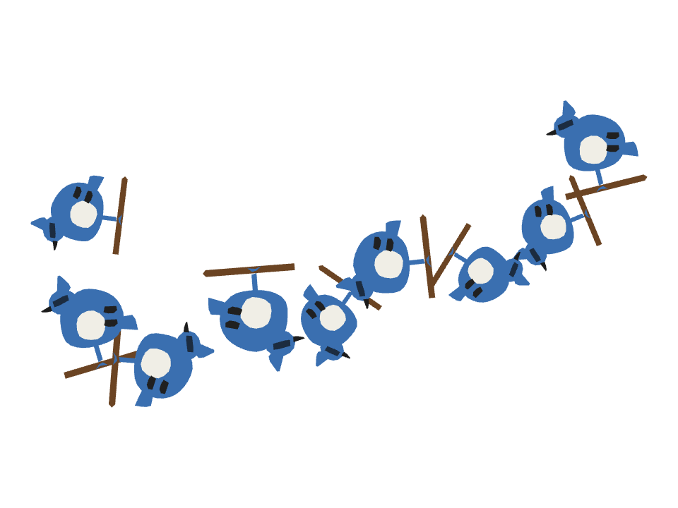 Blue Jay drawn along a curved stroke