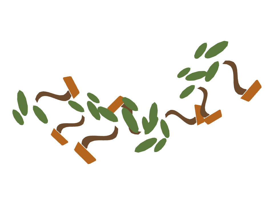 Bonsai Tree drawn along a curved stroke