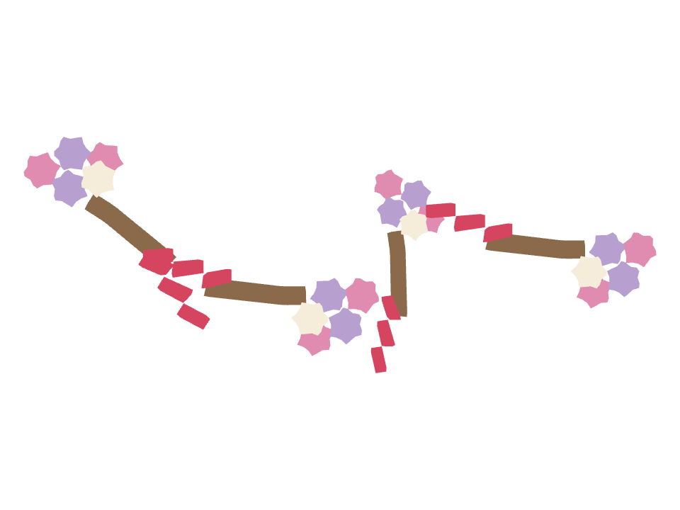 Bouquet Toss drawn along one curved stroke