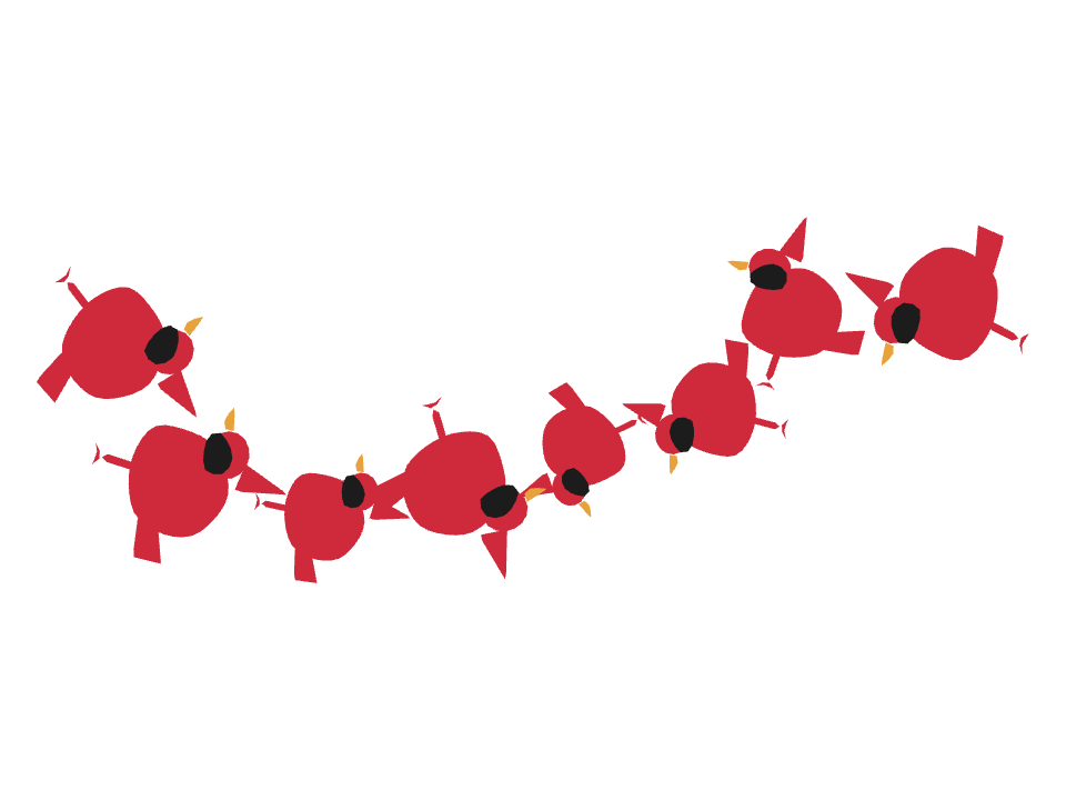 Cardinal drawn along a curved stroke