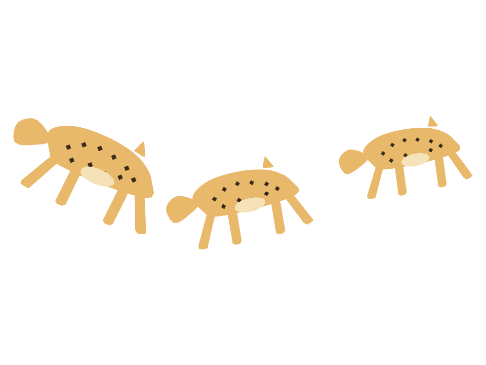 Cheetah drawn along a curved stroke