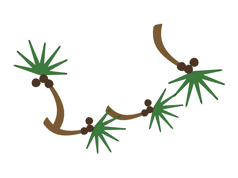 Coconut Palm drawn along a curved stroke