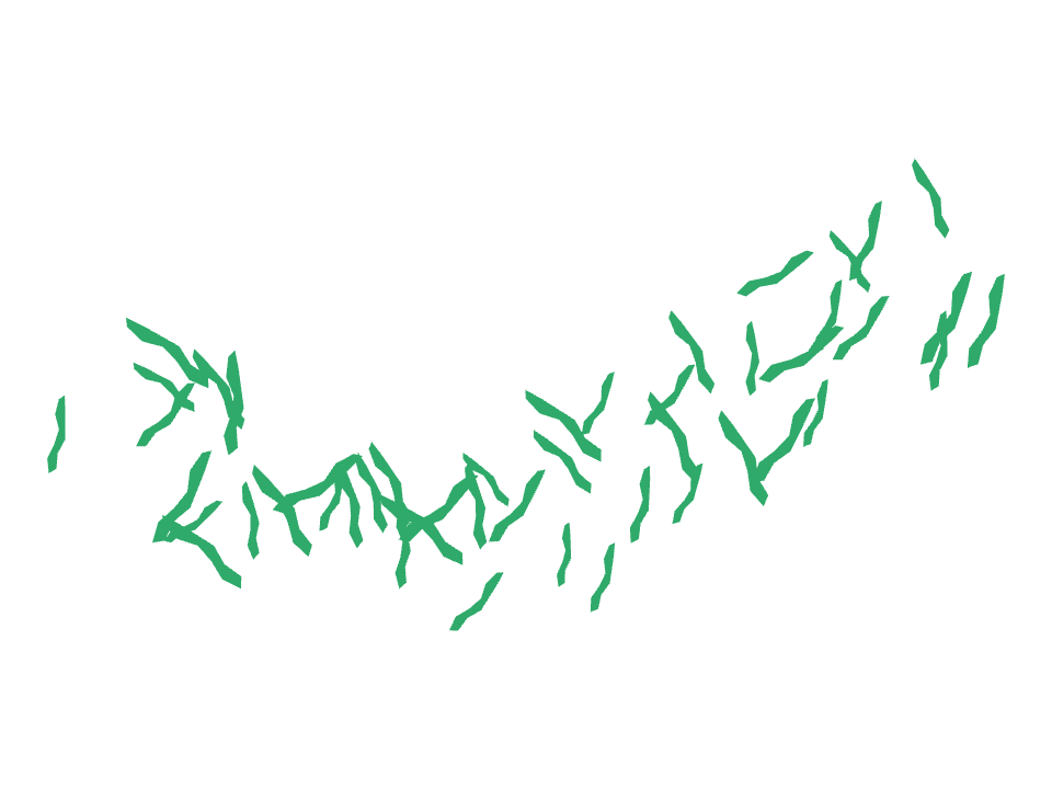 Coral drawn along a curved stroke