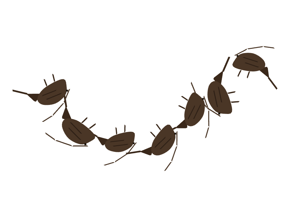 Cricket drawn along one curved stroke