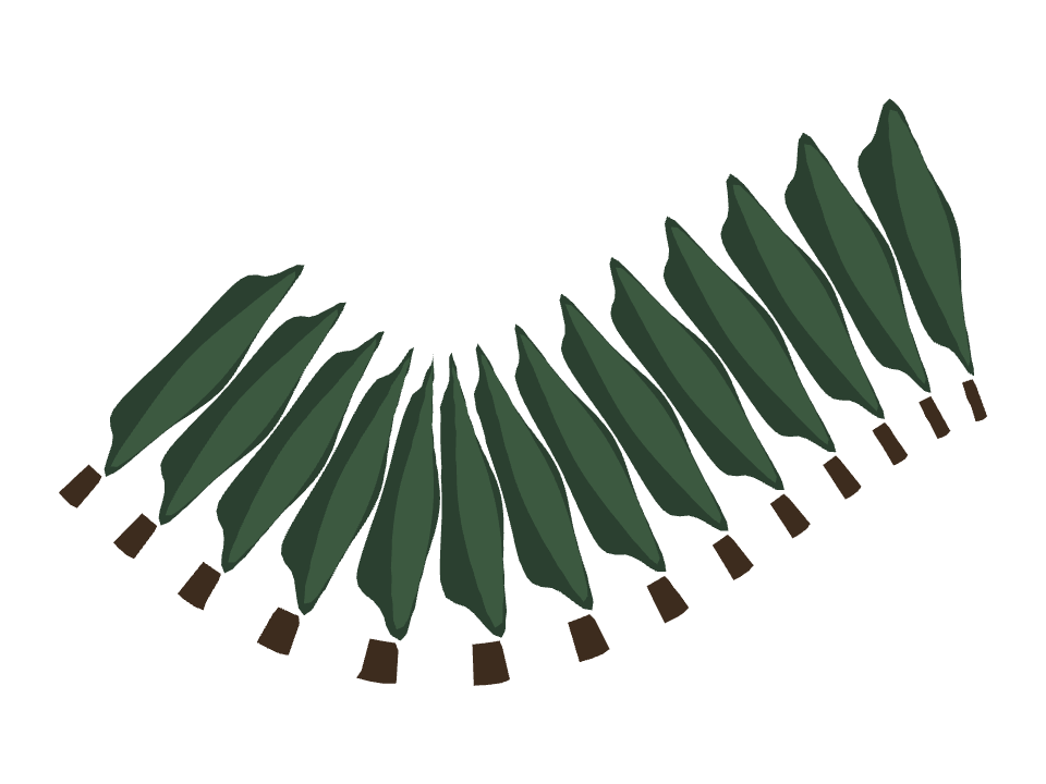 Cypress Tree drawn along a curved stroke