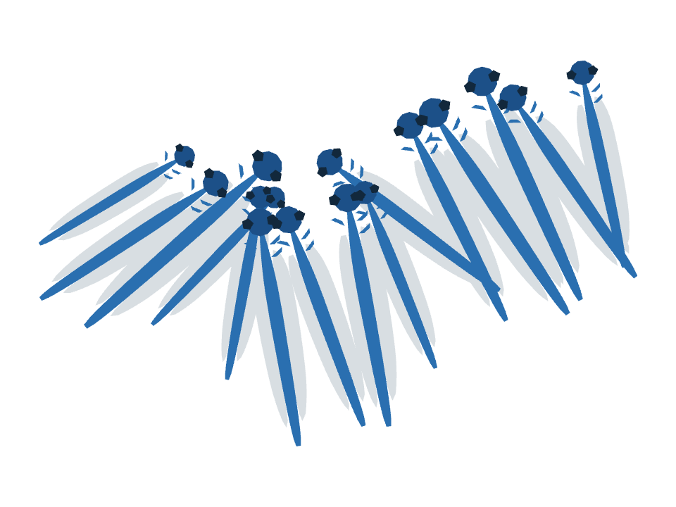 Damselfly drawn along a curved stroke