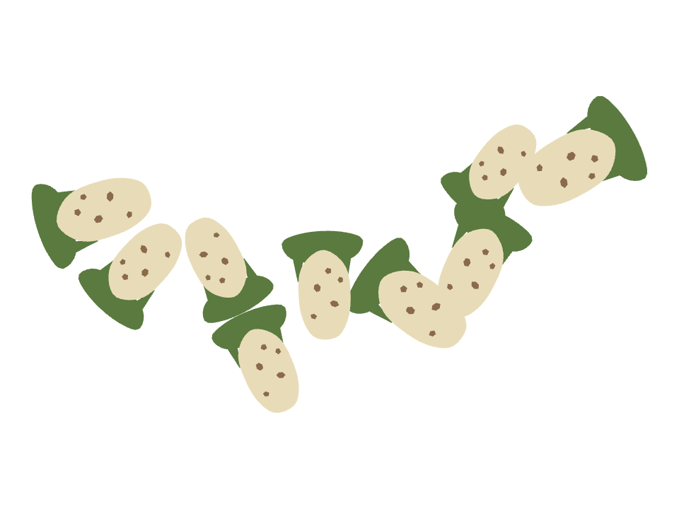 Dino Egg drawn along a curved stroke