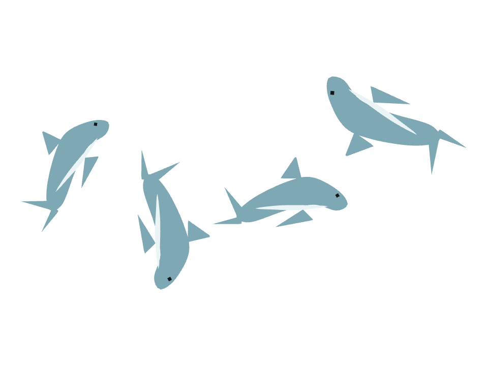 Dolphin drawn along a curved stroke