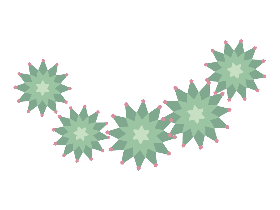 Echeveria Rosette drawn along one curved stroke