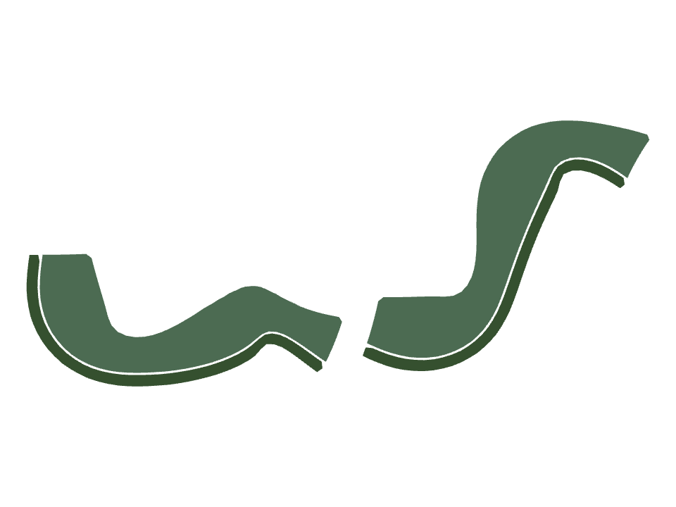 Eel drawn along a curved stroke