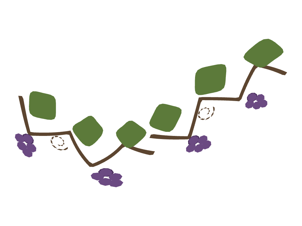 Grapevine drawn along one curved stroke