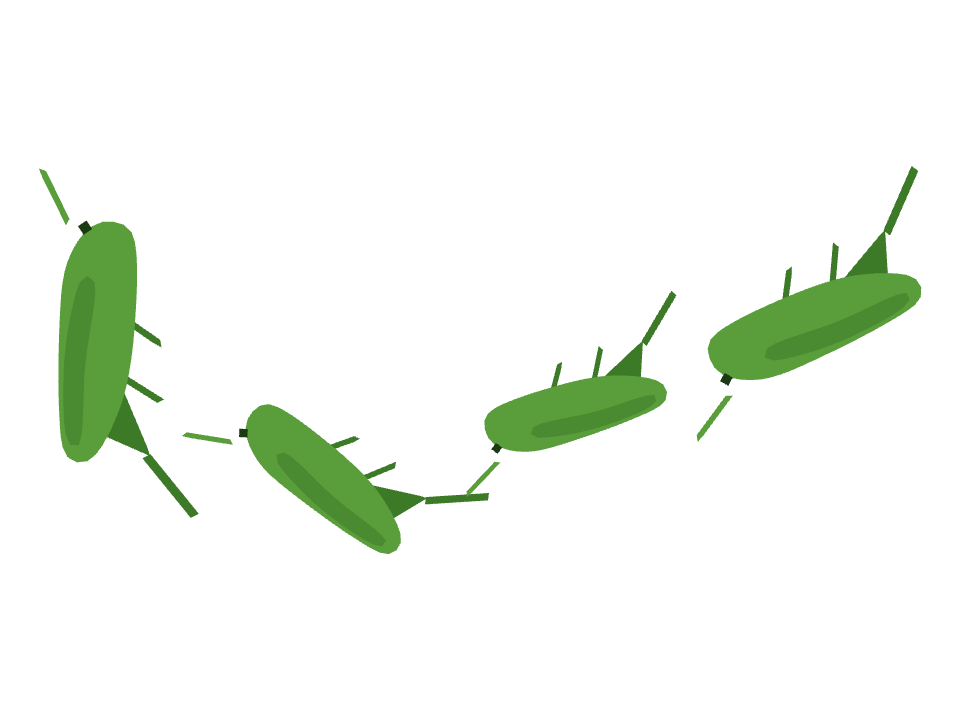 Grasshopper drawn along one curved stroke