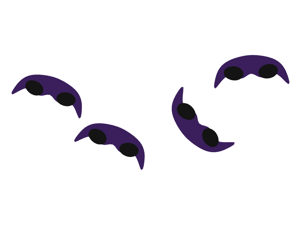 Halloween Mask drawn along a curved stroke