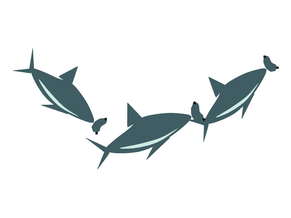 Hammerhead Shark drawn along a curved stroke