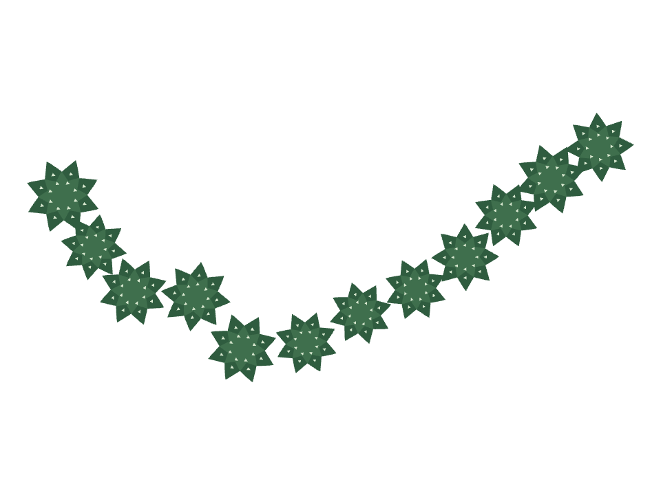 Haworthia drawn along one curved stroke