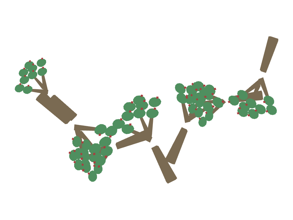 Jade Plant drawn along one curved stroke