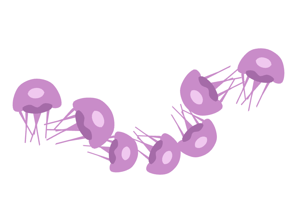 Jellyfish drawn along a curved stroke