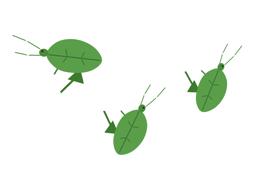 Katydid drawn along one curved stroke