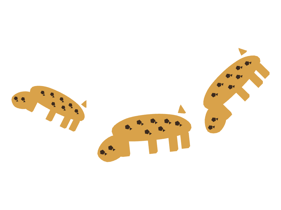 Leopard drawn along a curved stroke