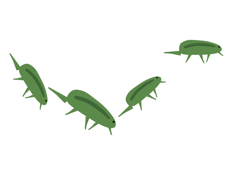 Lizard drawn along one curved stroke