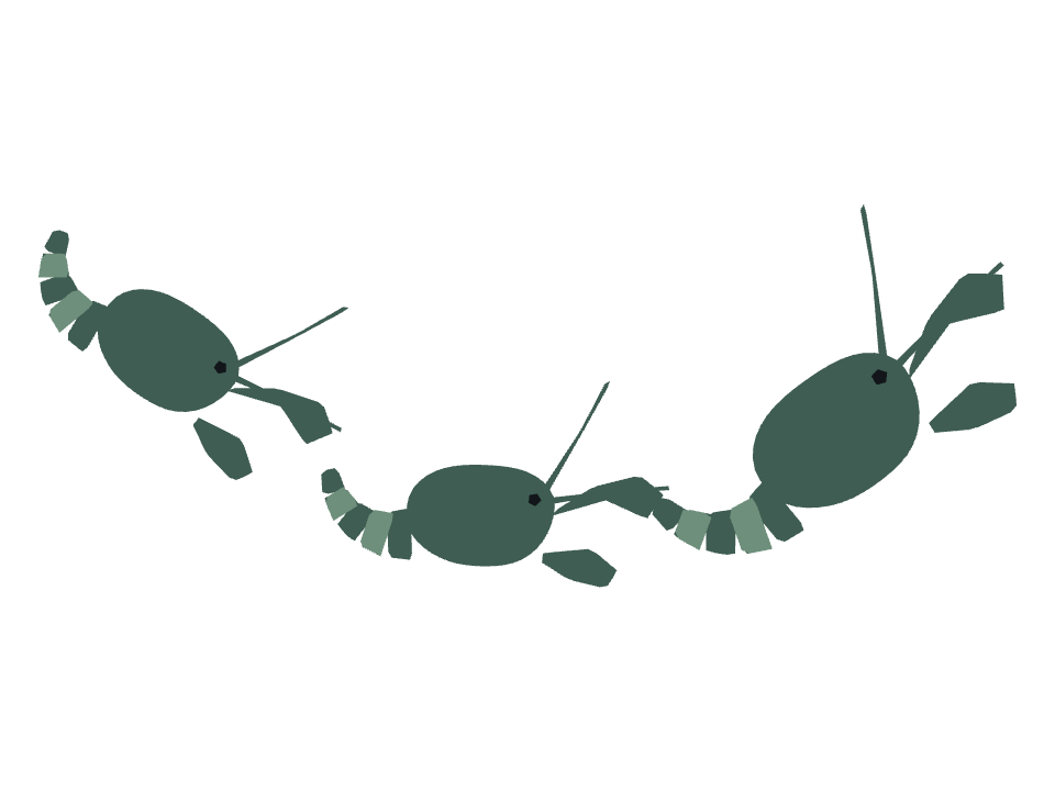 Lobster drawn along a curved stroke