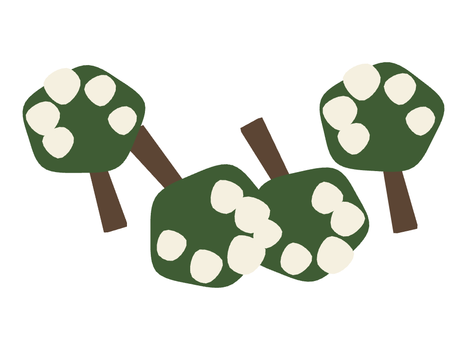 Magnolia Tree drawn along a curved stroke