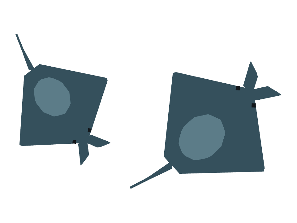 Manta Ray drawn along a curved stroke