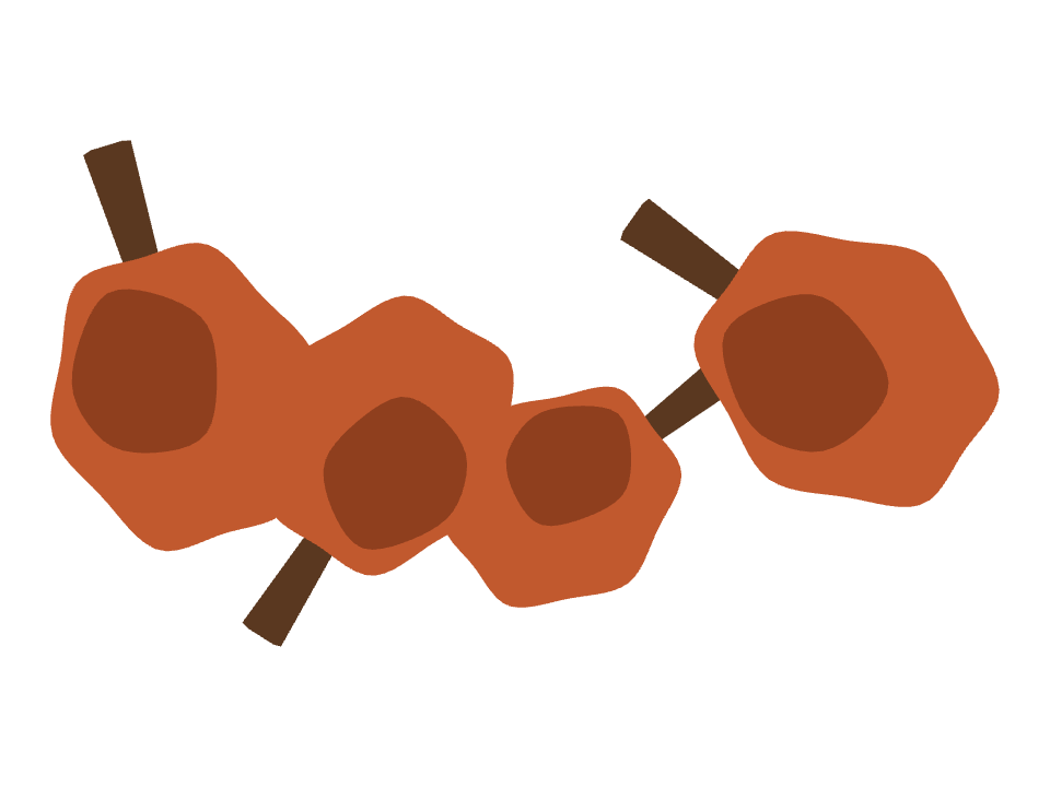 Maple Tree drawn along a curved stroke