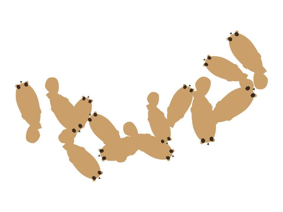 Meerkat drawn along a curved stroke