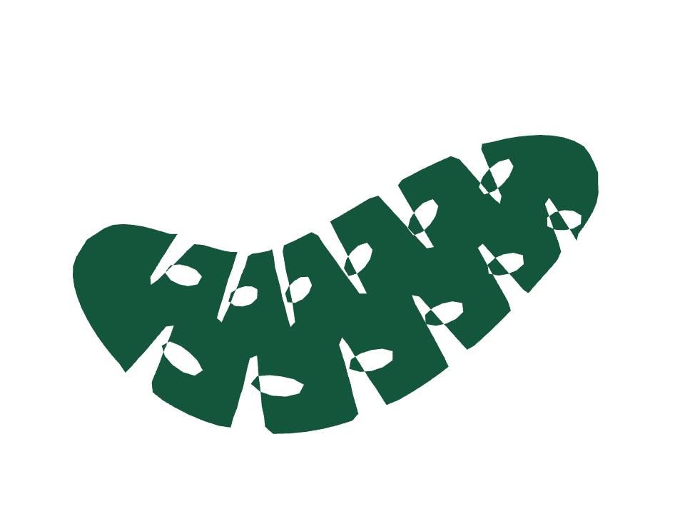 Monstera band drawn along a curved stroke