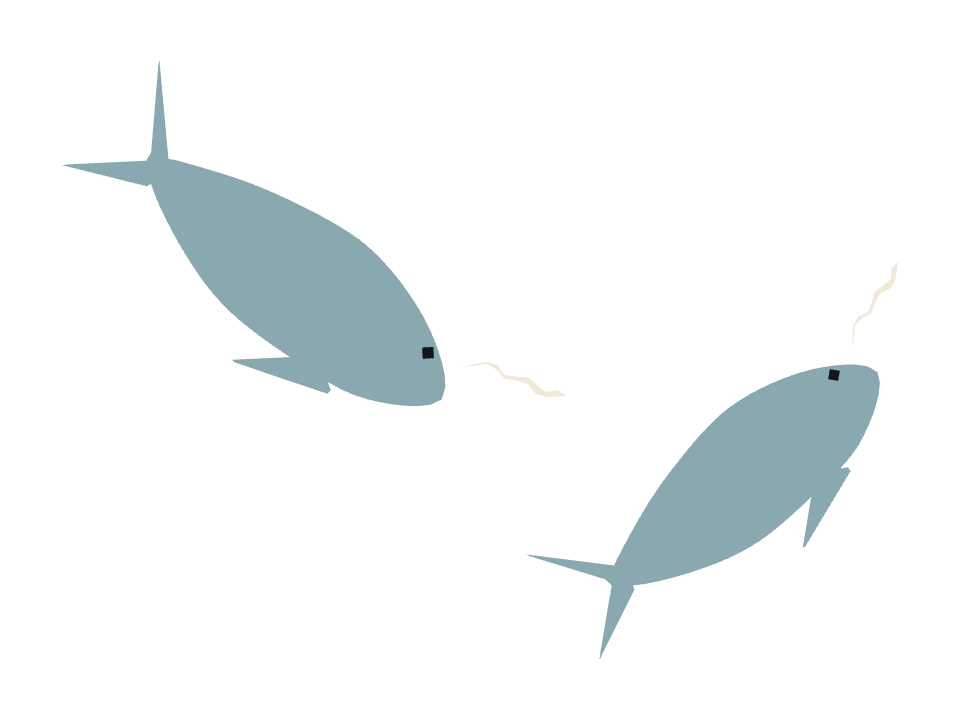 Narwhal drawn along a curved stroke