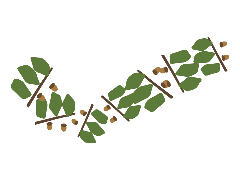 Oak Twig drawn along a curved stroke