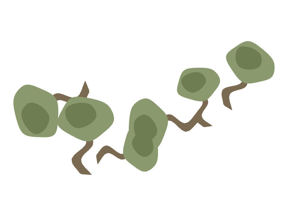 Olive Tree drawn along a curved stroke