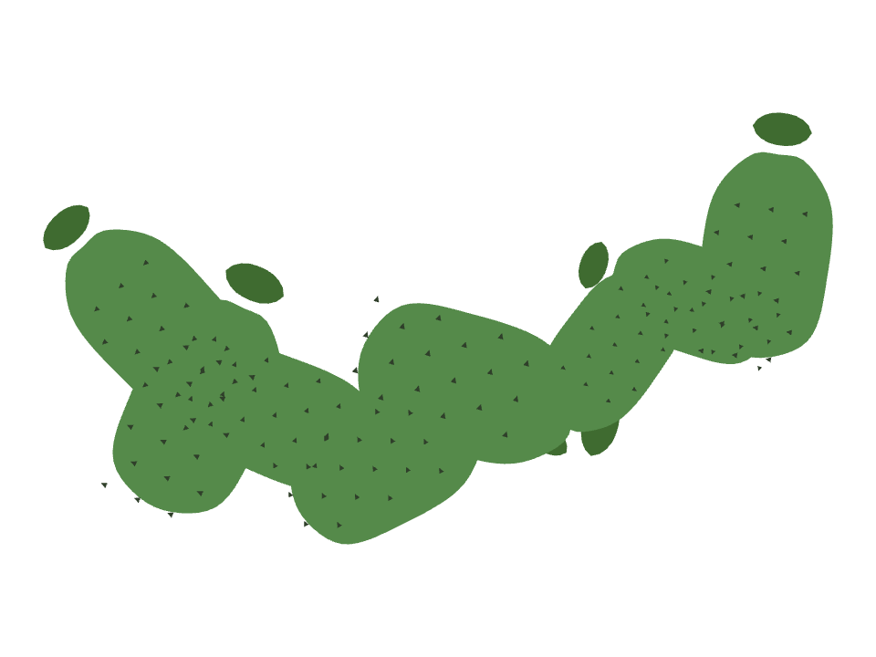 Opuntia Paddle drawn along a curved stroke