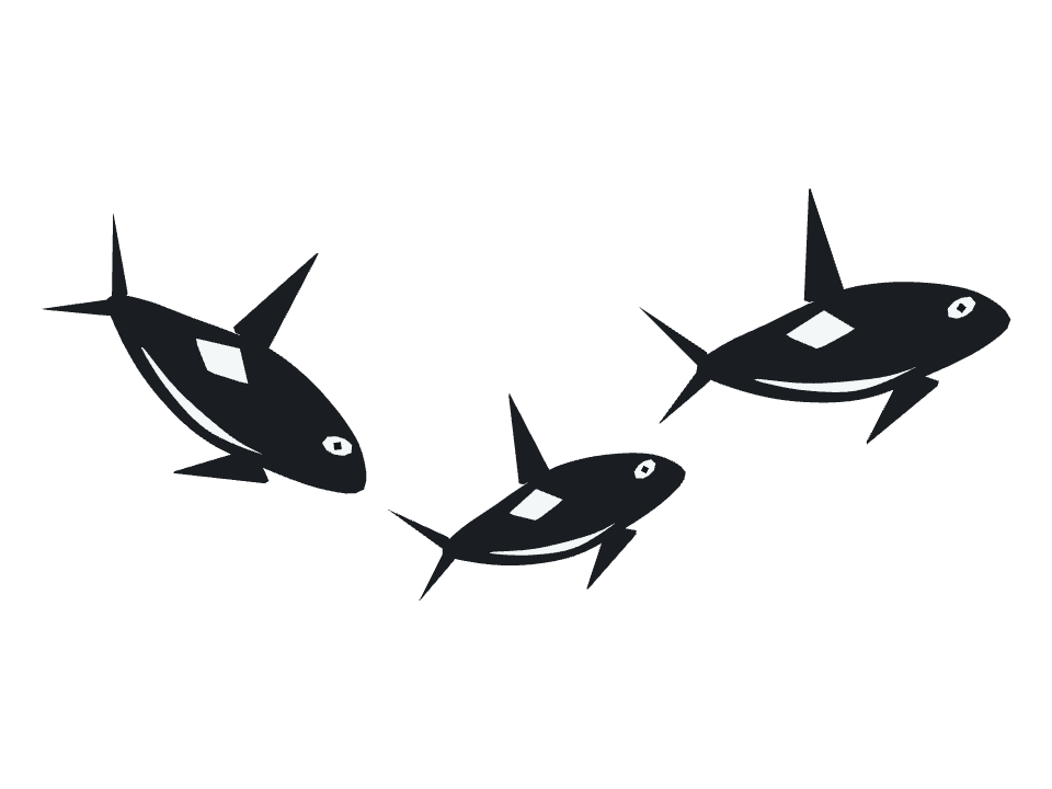 Orca drawn along a curved stroke