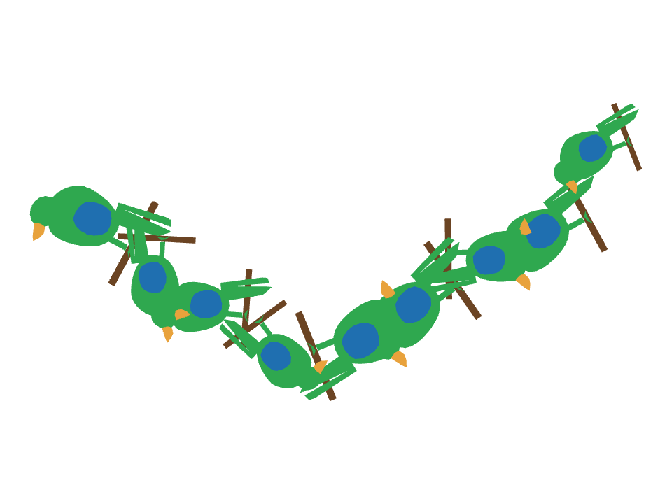 Parrot drawn along a curved stroke