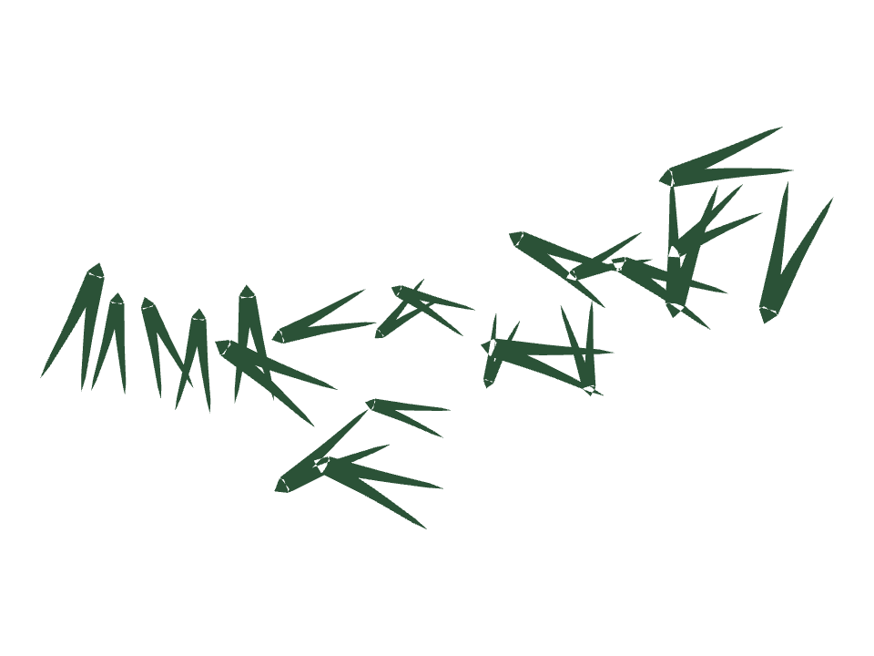 Pine needles drawn along one curved stroke