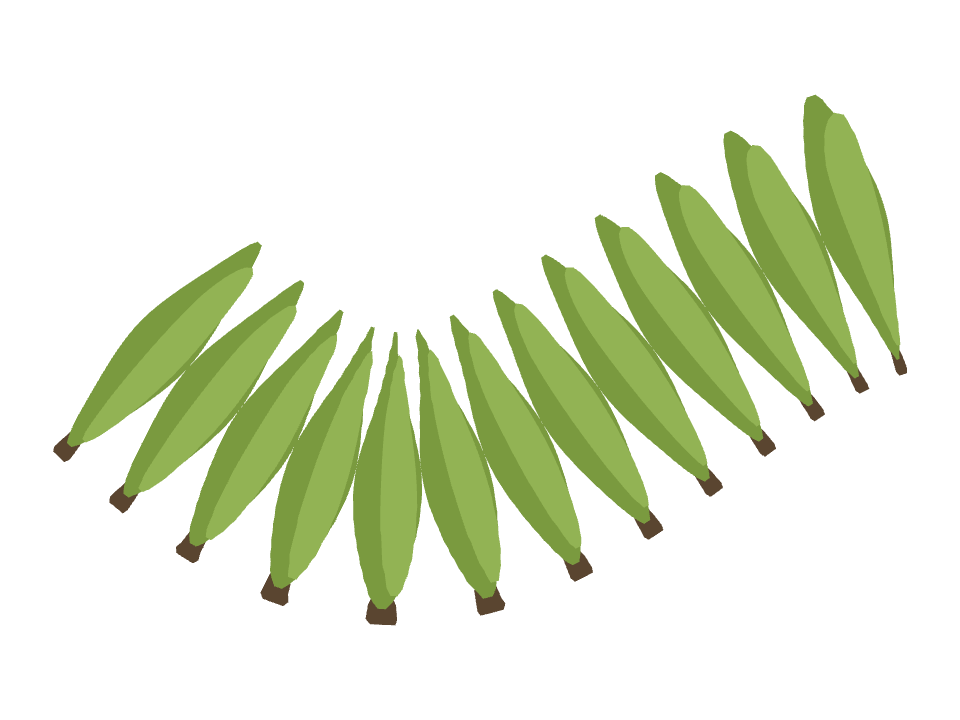 Poplar Tree drawn along a curved stroke