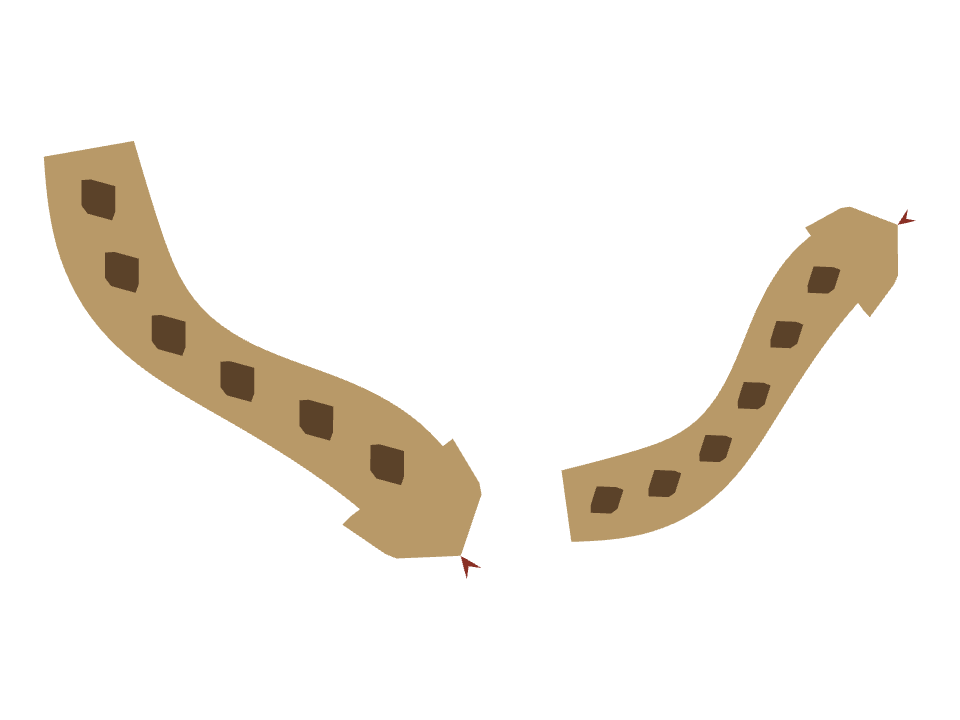 Python drawn along a curved stroke