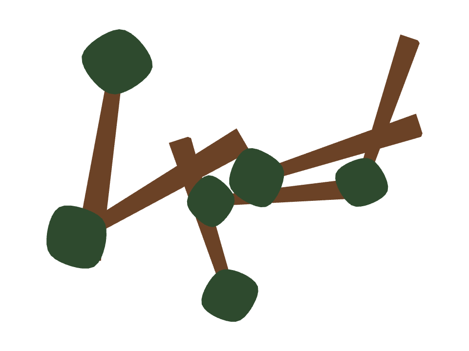 Redwood Tree drawn along a curved stroke