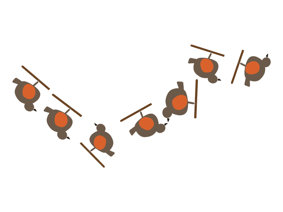 Robin drawn along a curved stroke