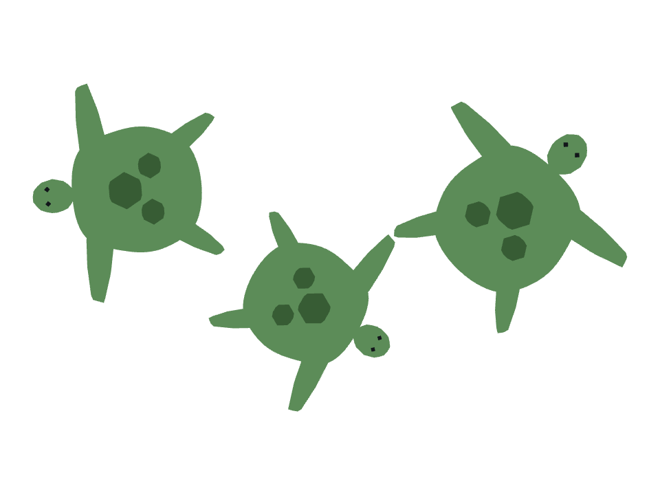 Sea Turtle drawn along a curved stroke