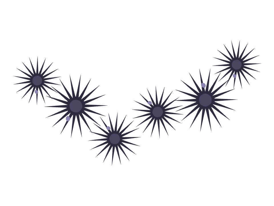 Sea Urchin drawn along a curved stroke