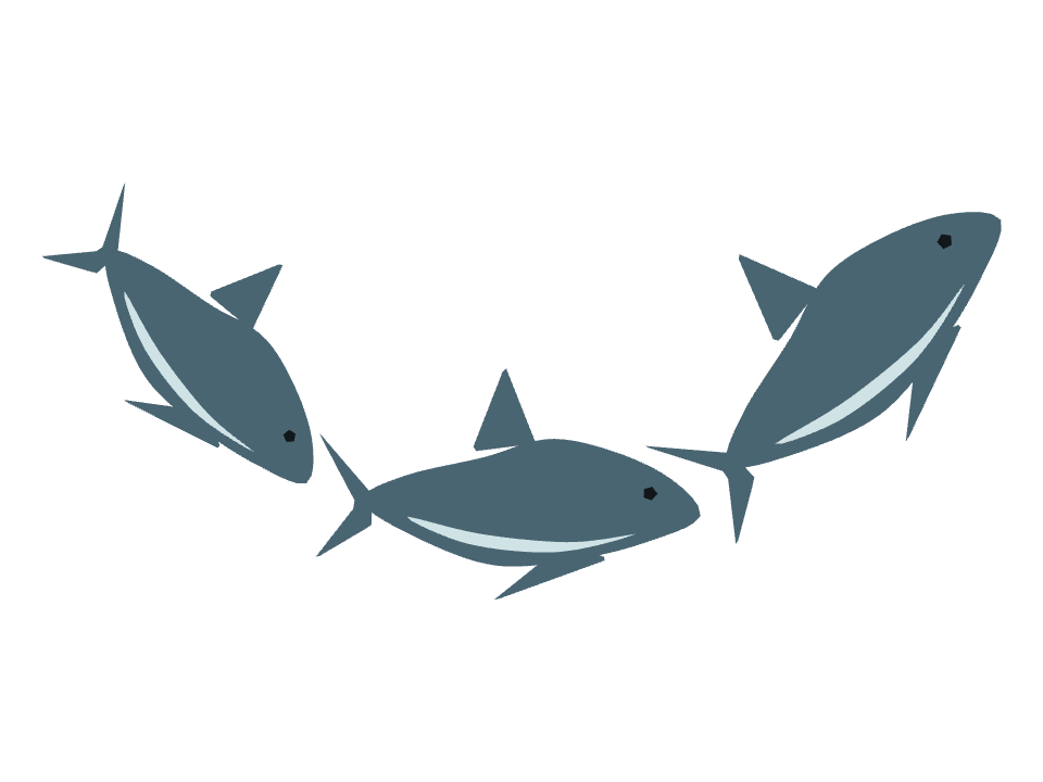 Shark drawn along a curved stroke