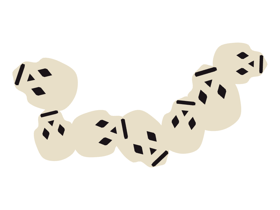 Skull Ornament drawn along one curved stroke