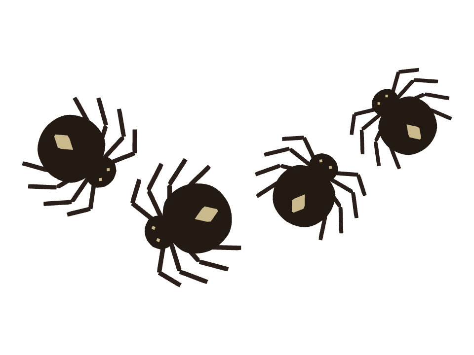 Spider drawn along one curved stroke